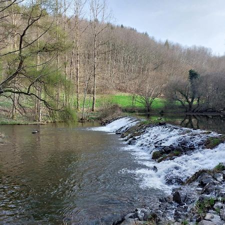 הוילה Sainte-Juliette-sur-Viaur Moulin De Serre מראה חיצוני תמונה